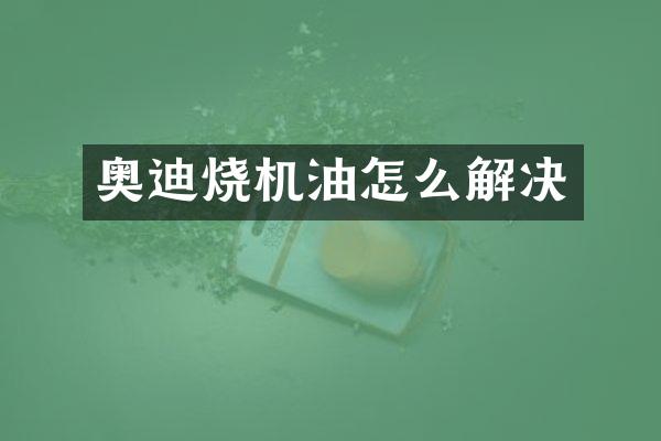 奥迪烧机油怎么解决