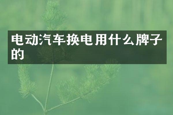 电动汽车换电用什么牌子的