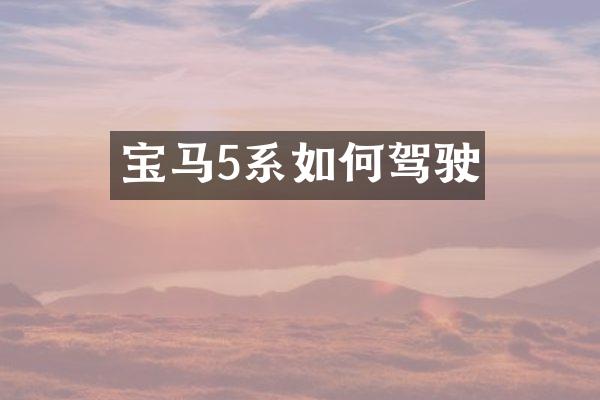 宝马5系如何驾驶