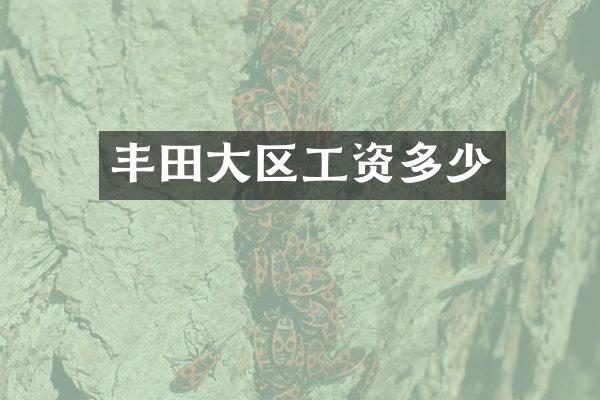 丰田大区工资多少