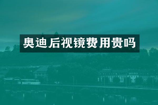 奥迪后视镜费用贵吗