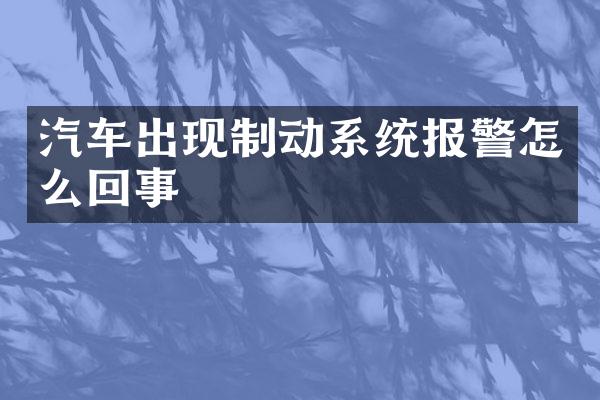 汽车出现制动系统报警怎么回事