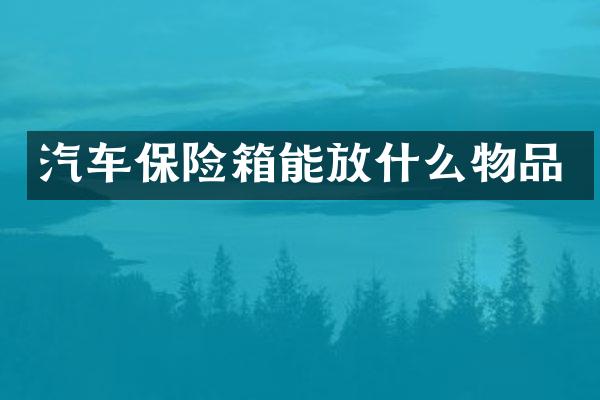 汽车保险箱能放什么物品