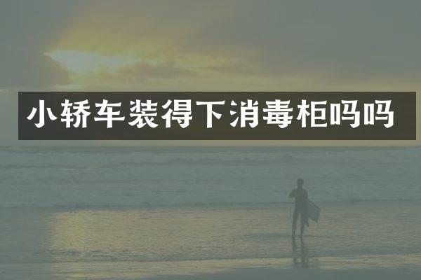 小轿车装得下消毒柜吗吗