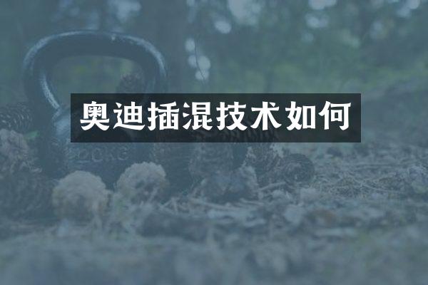 奥迪插混技术如何