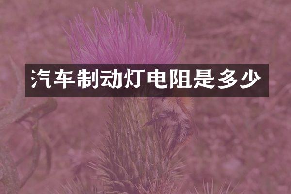 汽车制动灯电阻是多少