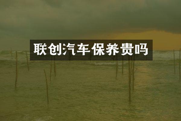 联创汽车保养贵吗