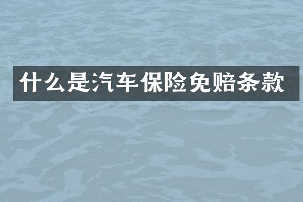 什么是汽车保险免赔条款