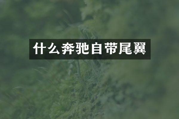 什么奔驰自带尾翼
