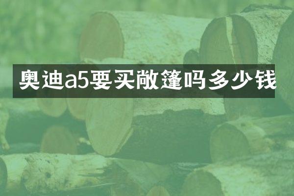 奥迪a5要买敞篷吗多少钱