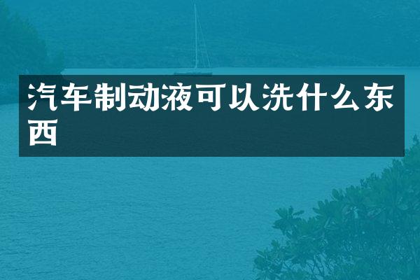 汽车制动液可以洗什么东西