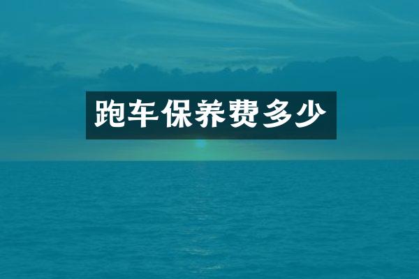 跑车保养费多少