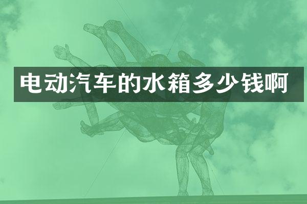 电动汽车的水箱多少钱啊
