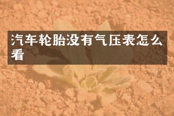 汽车轮胎没有气压表怎么看