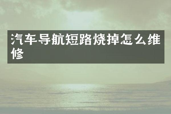 汽车导航短路烧掉怎么维修