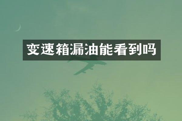 变速箱漏油能看到吗