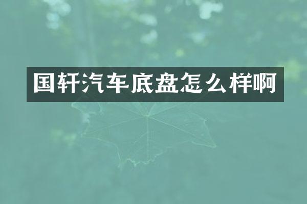 国轩汽车底盘怎么样啊