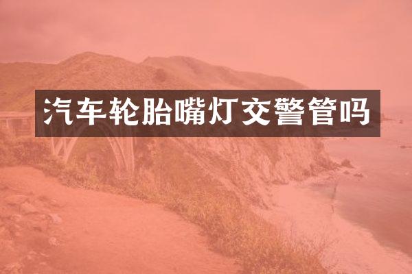 汽车轮胎嘴灯交警管吗