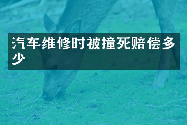 汽车维修时被撞死赔偿多少