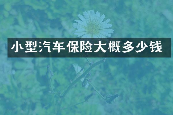 小型汽车保险大概多少钱