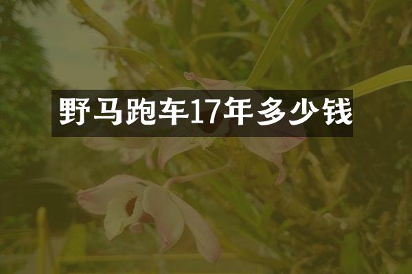 野马跑车17年多少钱