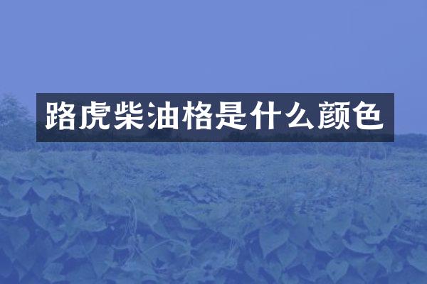 路虎柴油格是什么颜色