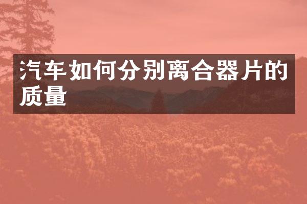 汽车如何分别离合器片的质量