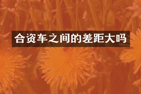 合资车之间的差距大吗