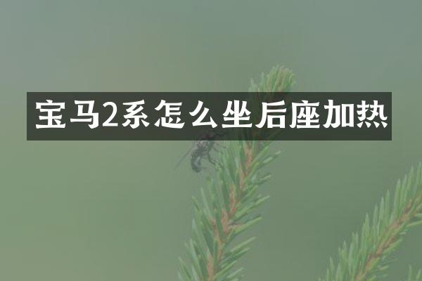 宝马2系怎么坐后座加热
