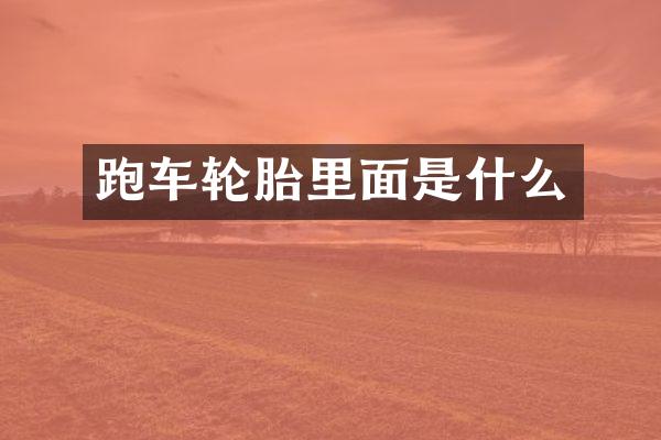 跑车轮胎里面是什么