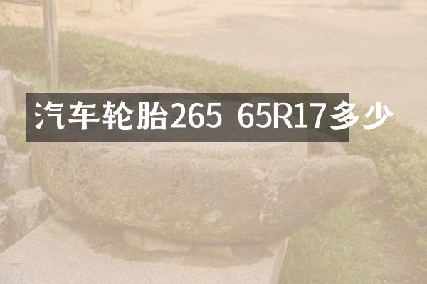 汽车轮胎265 65R17多少