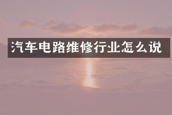 汽车电路维修行业怎么说