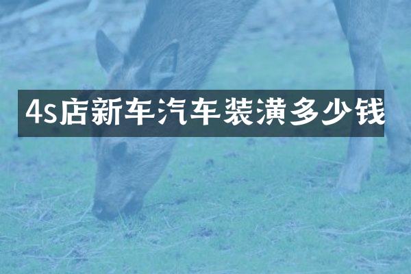 4s店新车汽车装潢多少钱