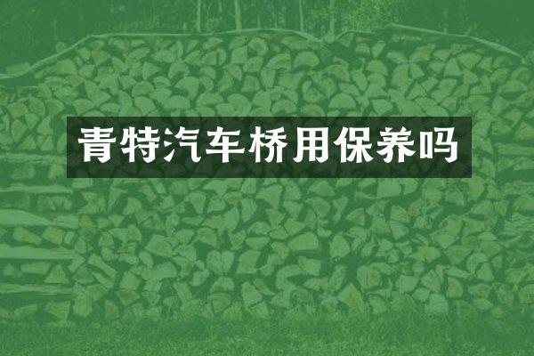 青特汽车桥用保养吗