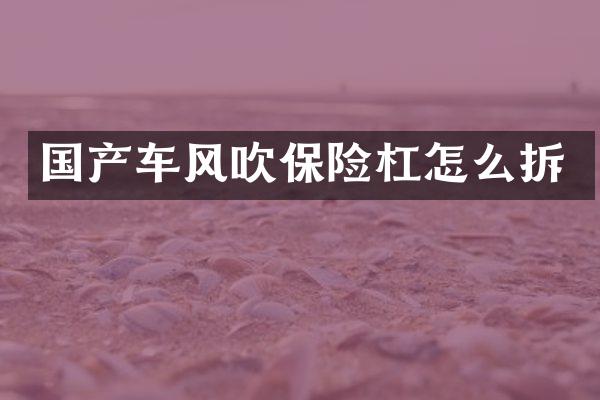 国产车风吹保险杠怎么拆