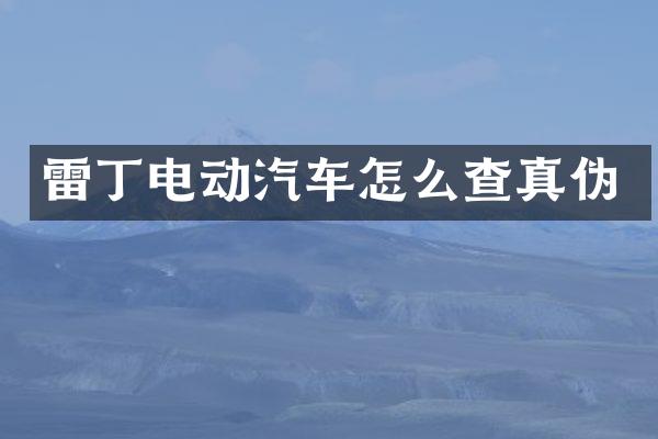 雷丁电动汽车怎么查真伪