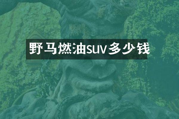 野马燃油suv多少钱