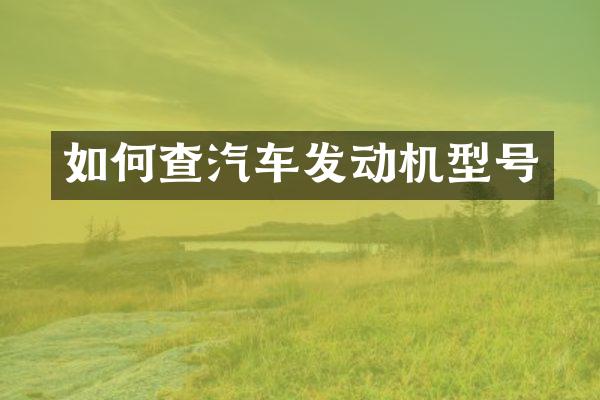 如何查汽车发动机型号