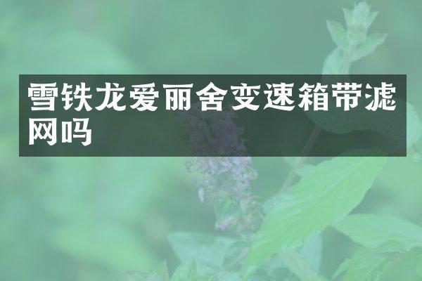雪铁龙爱丽舍变速箱带滤网吗