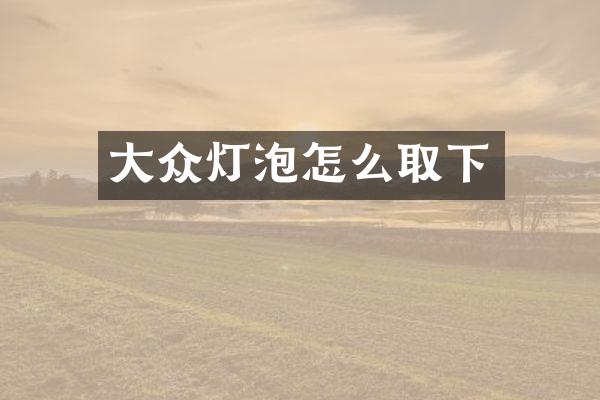 大众灯泡怎么取下