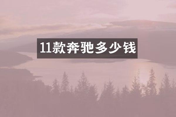 11款奔驰多少钱