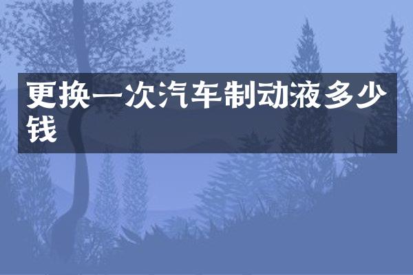 更换一次汽车制动液多少钱