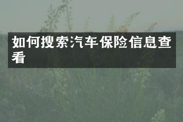 如何搜索汽车保险信息查看
