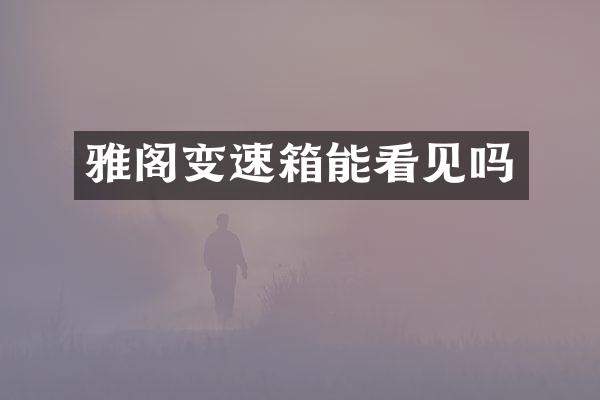 雅阁变速箱能看见吗