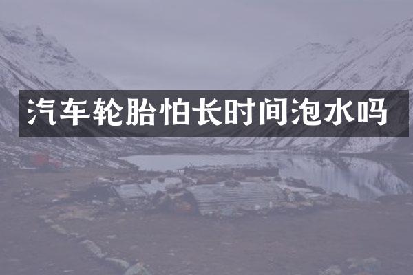汽车轮胎怕长时间泡水吗