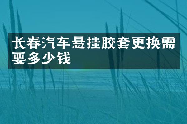 长春汽车悬挂胶套更换需要多少钱