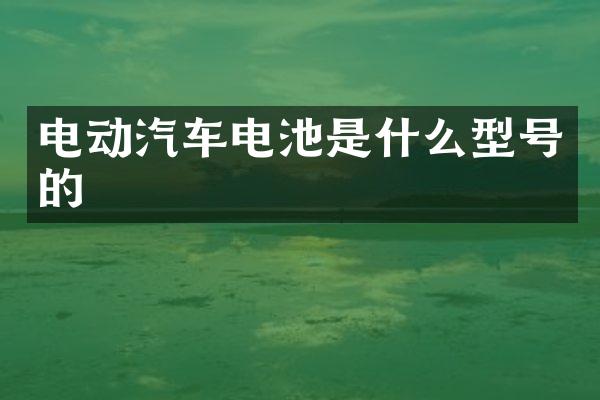 电动汽车电池是什么型号的