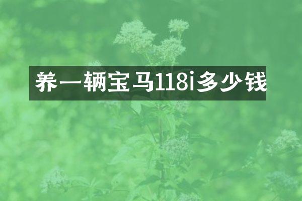 养一辆宝马118i多少钱