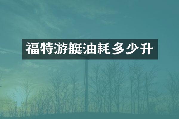 福特游艇油耗多少升