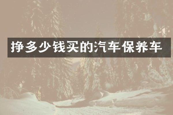 挣多少钱买的汽车保养车